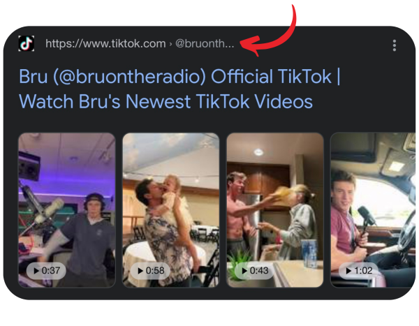 Google Tiktok Profiles SERP Video Carousel